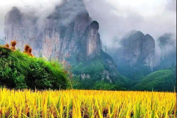 虫虫助手下载